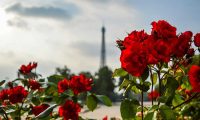 Travel: Exploring the World on My Own